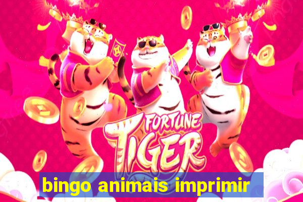 bingo animais imprimir