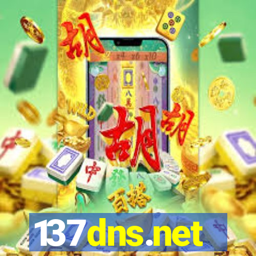 137dns.net