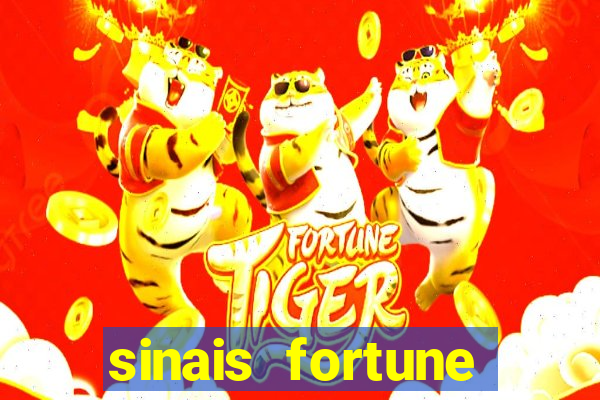 sinais fortune rabbit