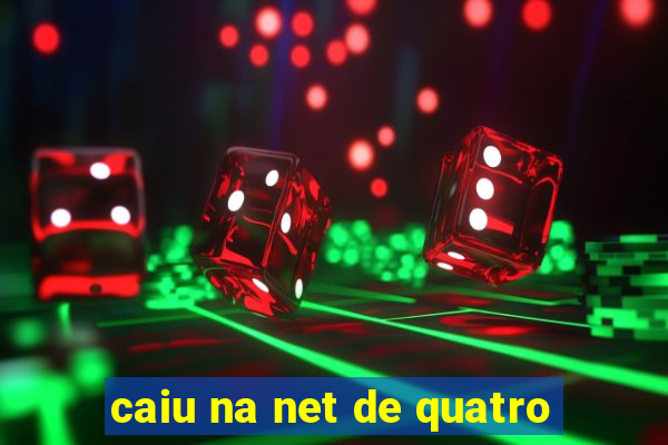 caiu na net de quatro