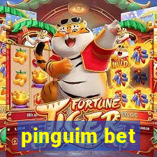 pinguim bet