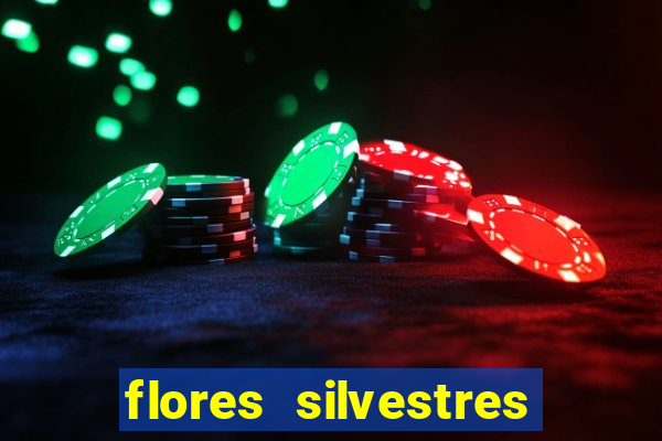 flores silvestres desbravadores desbravadores 25 flores silvestres e seus nomes