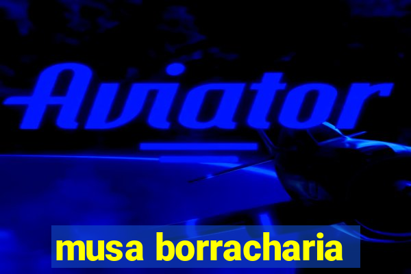 musa borracharia