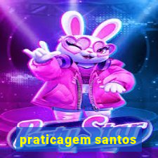 praticagem santos