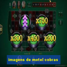 imagens de motel cobras