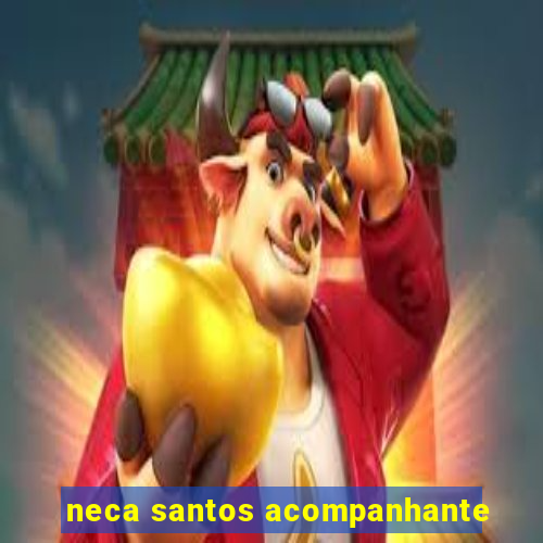 neca santos acompanhante