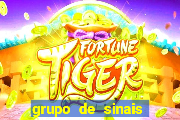 grupo de sinais fortune rabbit